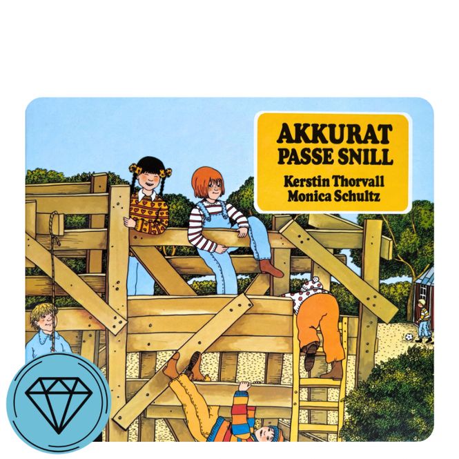 Hovedbilde Akkurat passe snill