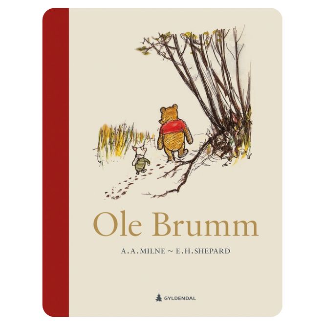 Hovedbilde Ole Brumm